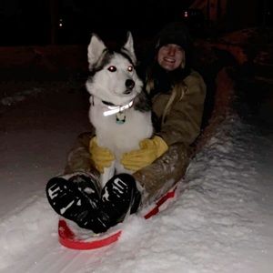 Meet your Posher, Bailey